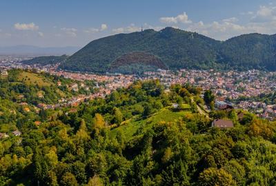 COMISION 0% Teren 2700mp / Strada Coltul Putinarilor/Poiana Brasov - 9