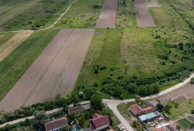 Teren de 5000 mp, în Urseni - 5