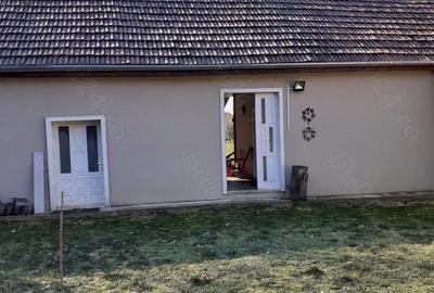 Casă cu 4 camere cu Teren 1400 Mp în Urvișu de Beliu - 6