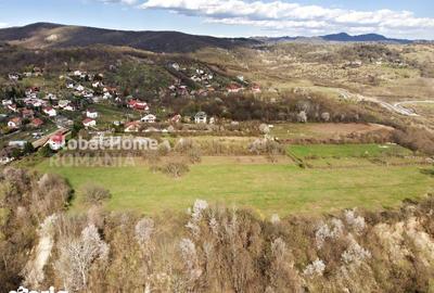 Teren de 23345 mp, în Cornu - 7