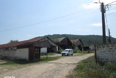 Spațiu comercial, în Șopotu Vechi - 2