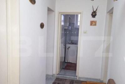 Casa individuala, 372 mp, 1339 mp teren, pretabila business, - 10