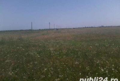 Teren de 12200 mp, în Mihăilești - 2