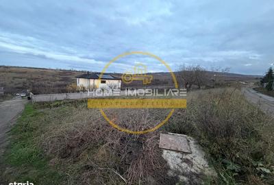 Teren de 938 mp, în Bucium - 6