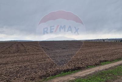 Teren 10,000mp Bacau / Strada Alexandru Safran - 11