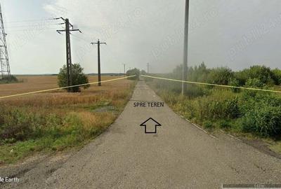 20 ha teren arabil intre Arad si Pecica - 7