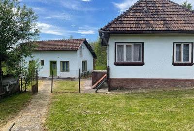 Casa de vanzare sat Ribi?a cu 50 de ari de teren - 2