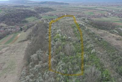 Spațiu comercial, în Lupoaia - 2