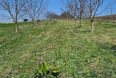 Spațiu comercial, în Mărtinești - 2