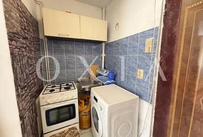 LX289 Garsoniera Buziasului, pretabila investitie - 4