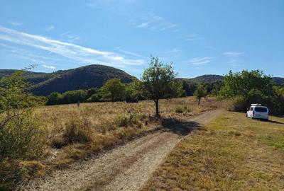 Teren de 35400 mp, în Balta - 5