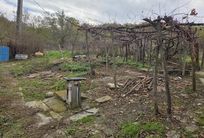 Vand casa si teren intravilan, Popesti, Vaslui - 3