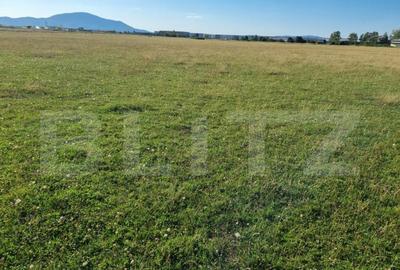 Teren intravilan - strada Carierei - 700mp - comision 0% Teren intravilan - strada Carierei - 700mp - comision 0% - 1