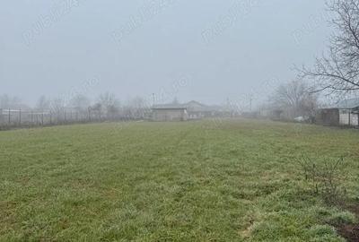 Teren de 1800 mp, în Dărăști-Ilfov - 2