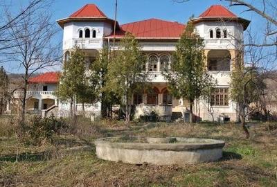Gussi-Lahovary Mansion, Leordeni Arges-Private 5.6 hectare estate - 1