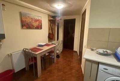 Apartament 1 camera in vila, 33 mp, curte privata, zona Parcul Armatura - 4