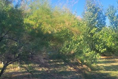 Casă cu Teren 7281 Mp în Cornățelu