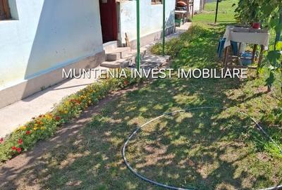 Casă cu 3 camere în Broșteni - 8