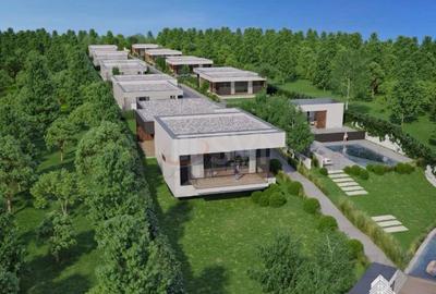 Teren Construcții intravilan de 41079 mp, în Tânganu - 3