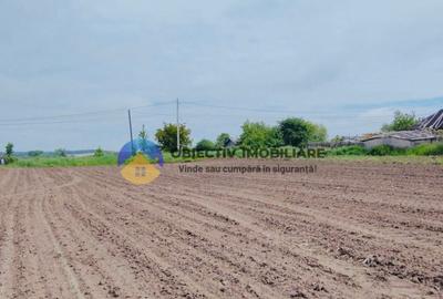 Teren- Com. Stefan cel Mare- jud. Neamt - 3