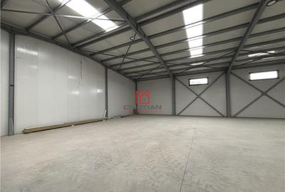 Spațiu comercial, de 600 mp, în Chitila - 12