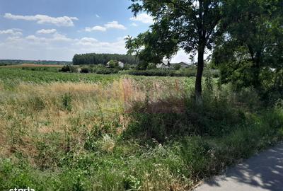 Teren de 16500 mp, în Vărăști - 10