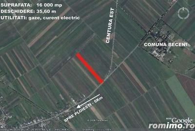 Teren 16.000 mp deschidere Centura Est Ploiesti - 3