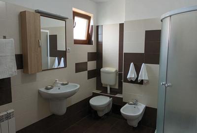 Casă cu 5 camere cu Teren 348 Mp în Viforâta - 5