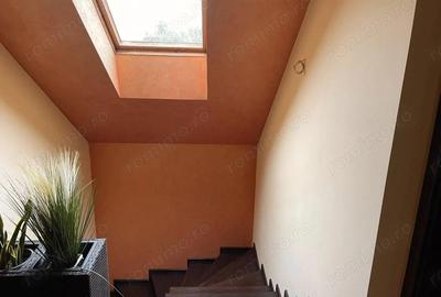 Casă cu Teren 750 Mp în Șag