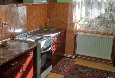 Apartament cu 2 camere decomandat în Lugoj - 7