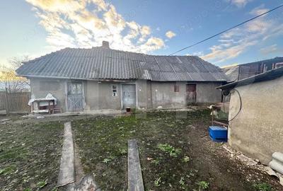 Casa, Comuna Apa ,Sat Someseni, 50mp, 17 ari teren - 4