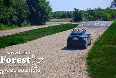 Spațiu comercial, în Crevedia - 3