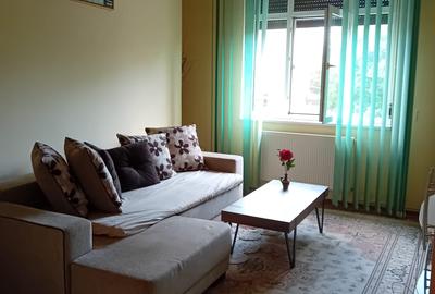 Apartament cu 3 camere decomandat în Ferdinand - 28