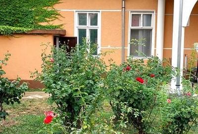 Casă cu 7 camere cu Teren 900 Mp în Ultracentral - 8