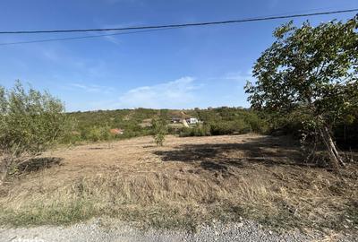 Spațiu comercial, în Săldăbagiu de Munte - 2