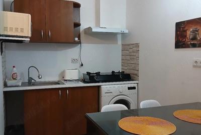Apartament cu 2 camere decomandat în Amara - 4