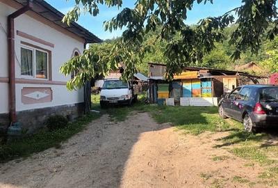 Casă cu Teren 2000 Mp în Dăești