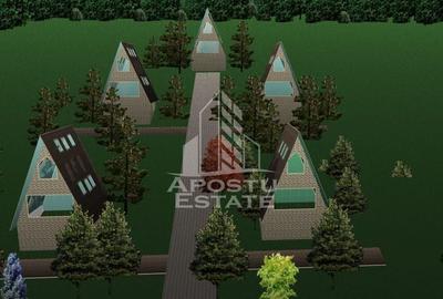 Teren Construibil - Sebis - 4