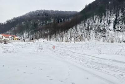 Teren intravilan - Sacele - Brasov - 4