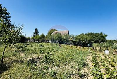 Teren Construcții intravilan de 6210 mp, în Apateu - 22