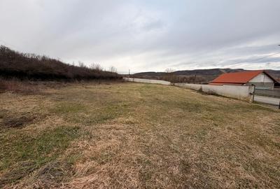 Teren de 1863 mp, în Vest - 3