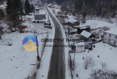 Teren de 2283 mp, în Tarcău - 17