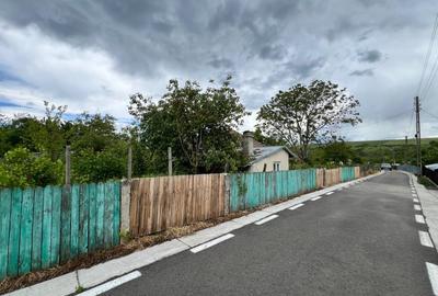 Casa + teren 4430 mp, vie si pomi fructiferi, 22 km de Tecuci - 3