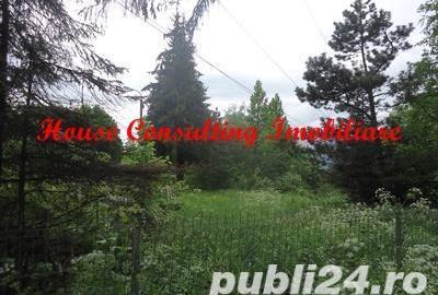 Teren de 1000 mp, în Clăbucet - 6