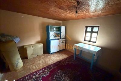 Casă cu 4 camere cu Teren 2846 Mp în Aștileu - 1