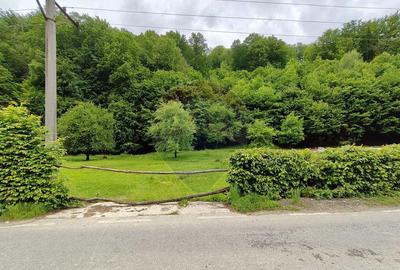 Teren de Vanzare in Zona Linistita - 2