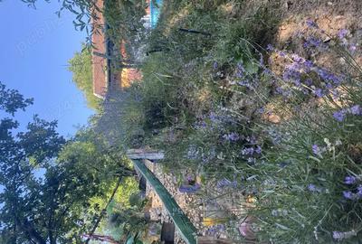 Vand casa de vacan?a sau schimb cu apartament - 3