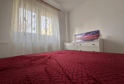 Apartament cu 3 camere semidecomandat, mobilat în Iancului - 18