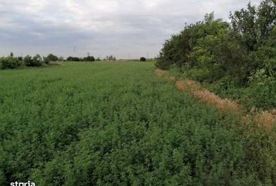 Teren de 7444 mp, în Tătăranu - 2