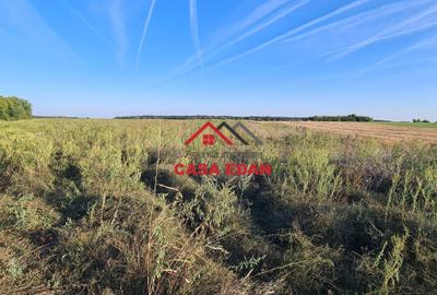 Teren extravilan in Urleta--5000m--21.000e - 5